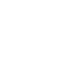 vitality